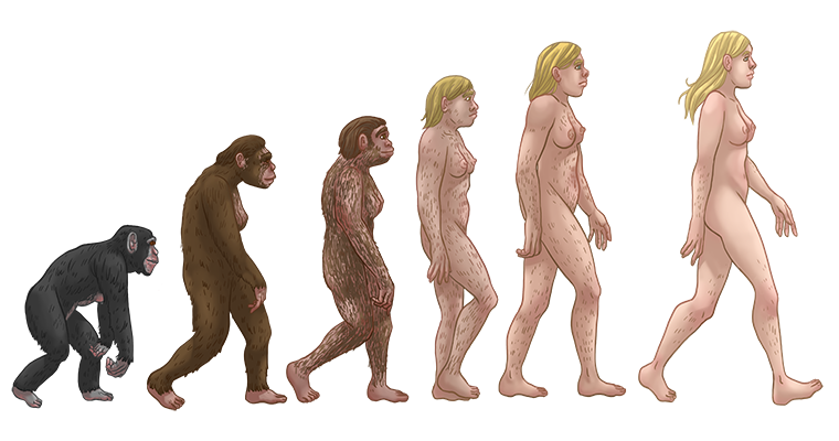 Som una excepció o una regla de la naturalesa?